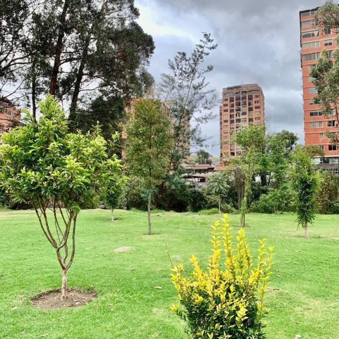 Urban Andes Retreat Leilighet Cuenca Eksteriør bilde